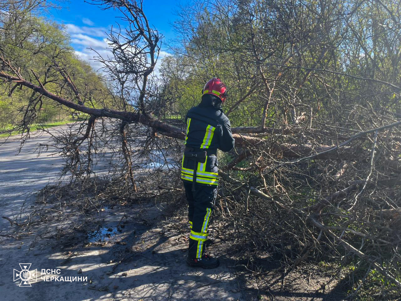 Фото до матеріалу: Рвучкий вітер на Черкащині: рятувальники усунули 45 повалених дерев