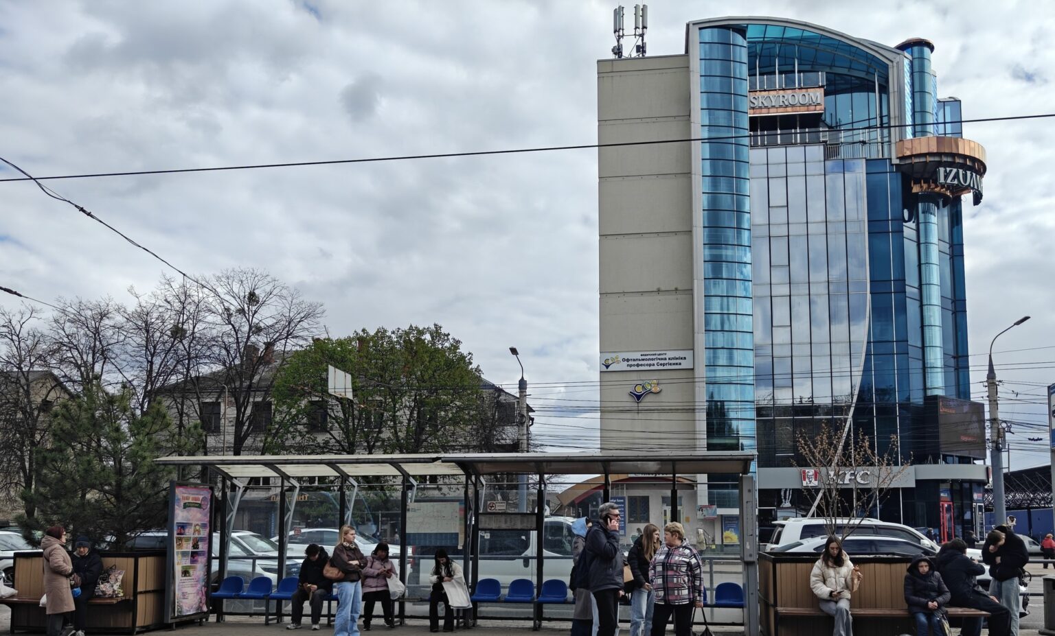 Фото до матеріалу: Сакуру та сосну перенесли з Майдану Небесної Сотні до зупинки Медичний університет у Вінниці