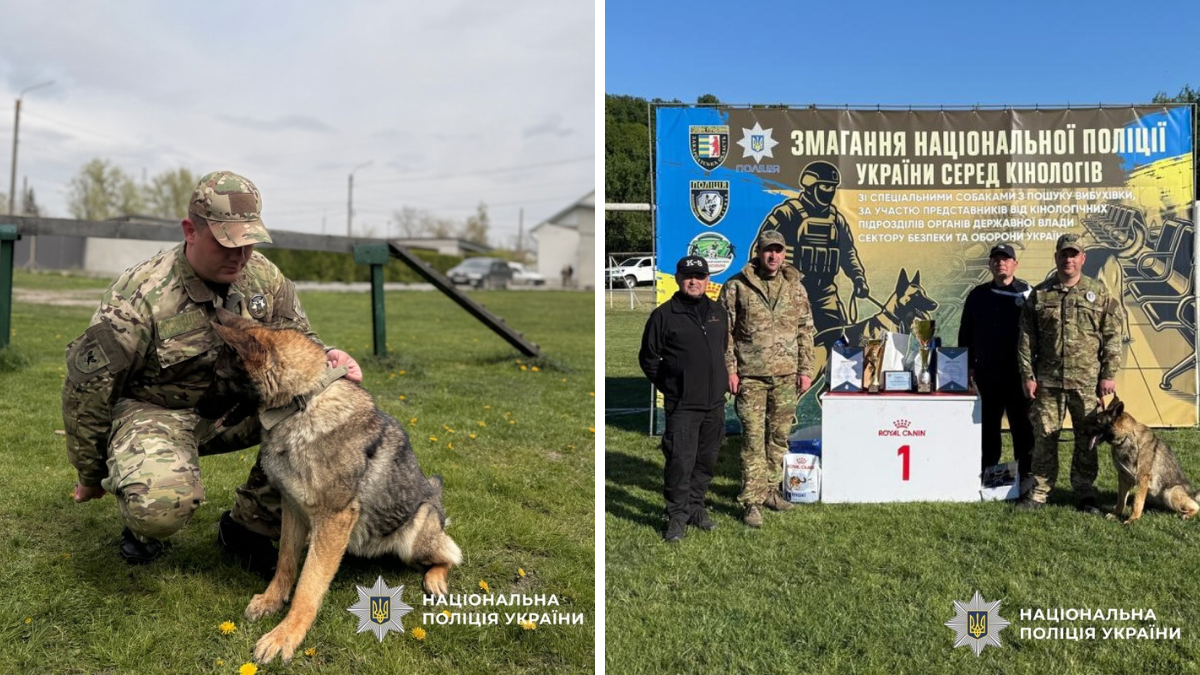Фото до матеріалу: Вівчарка Зола стала чемпіонкою України з пошуку вибухонебезпечних предметів