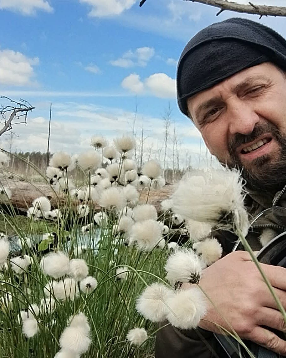 Фото до матеріалу: Веломаршрут «Трохимбрід»: на Ківерцівщині виявили дивовижне цвітіння пухівки