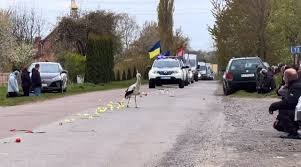 Фото до матеріалу: Лелека вийшов на дорогу під час прощання з полеглим воїном на Волині