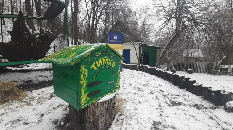 Фото до матеріалу: Бабак Тимко IV передбачив прихід весни в Україні через шість тижнів
