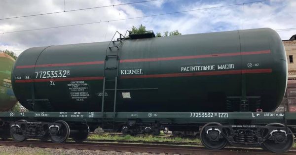Фото до матеріалу: Експорт ріпакової олії з України зріс у 30 разів: що змінилося в аграрному секторі