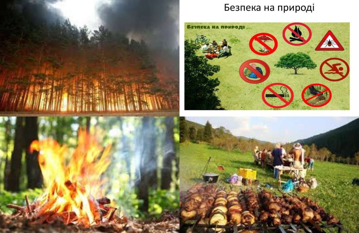 Фото до матеріалу: Штрафи за порушення правил безпеки на природі в Україні у 2026 році: що чекає на порушників