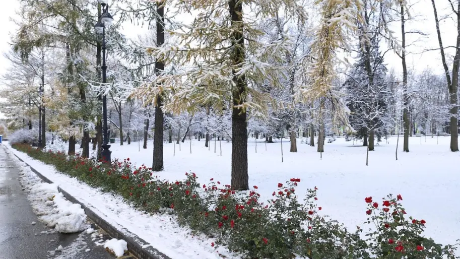 Фото до матеріалу: Укргідрометцентр попередив про заморозки 0-3° найближчими ночами