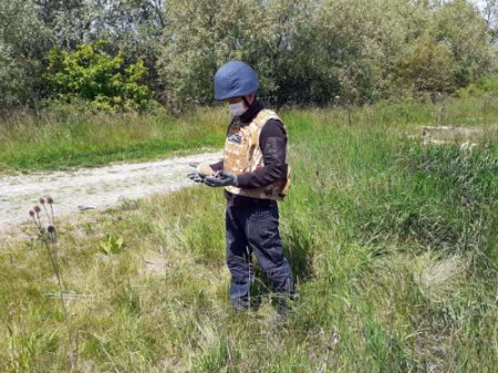 Фото до матеріалу: У Концово знайшли міну, що рятувала життя мешканцю