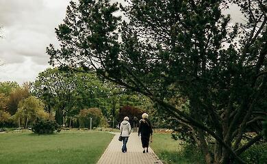 Фото до матеріалу: Чи можна приймати мелатонін і магній одночасно