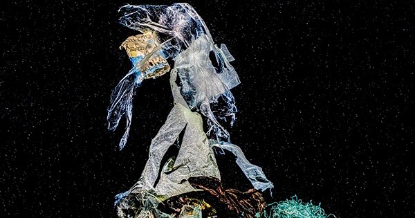 Фото до матеріалу: Український фотограф Олексій Захов представляє свої роботи на престижній фотоярмарці в Нью-Йорку