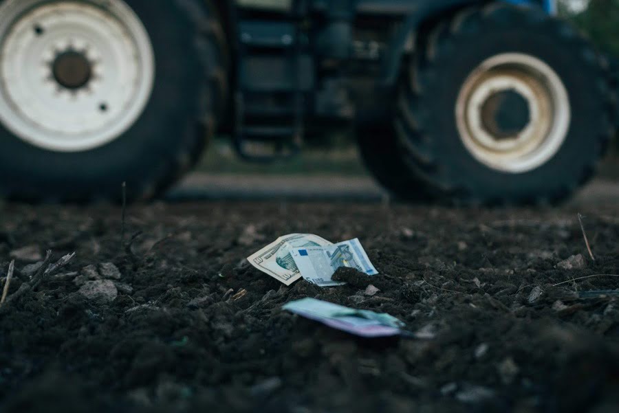 Фото до матеріалу: Дефіцит абрикосів та персиків: українські сади постраждали від аномальних морозів