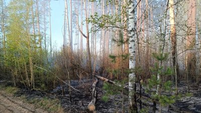 Фото до матеріалу: Кая Каллас анонсувала супутниковий моніторинг припинення вогню в Україні