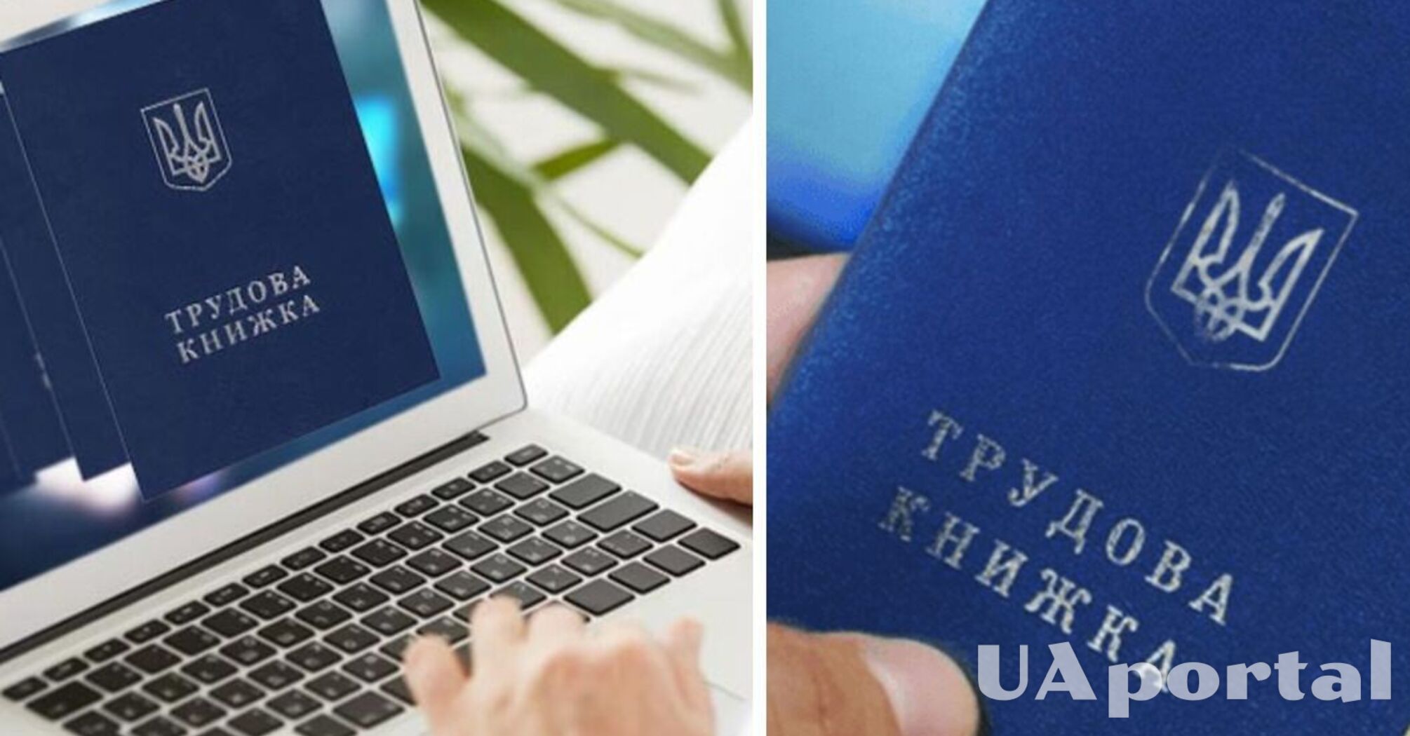 Фото до матеріалу: Втратити стаж: що оцифрувати крім трудової книжки до 2026 року