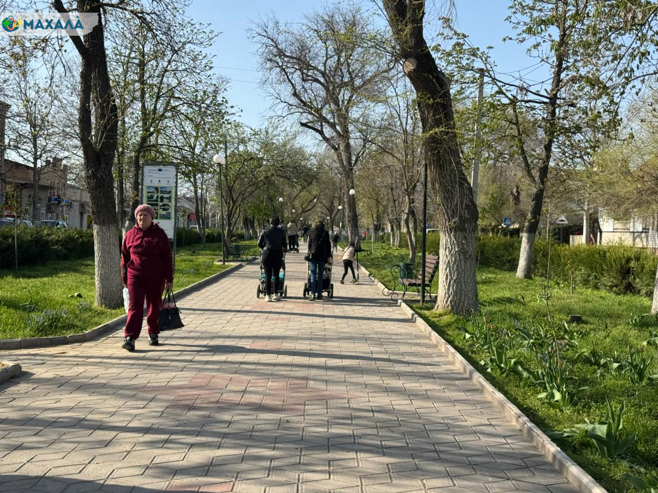 Фото до матеріалу: Програма «Досвід має значення»: Уряд стартує підтримку працевлаштування людей 50+
