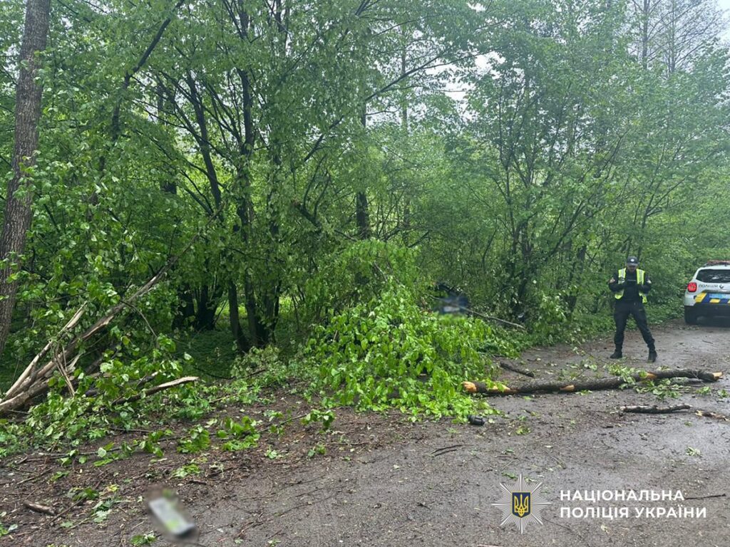 Фото до матеріалу: Двох чоловіків поховали після смертельного тарану дерева на Малинщині