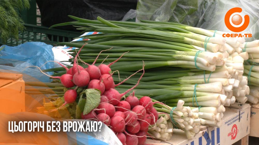 Фото до матеріалу: Друга хвиля заморозків на Рівненщині: загроза врожаю та заходи захисту