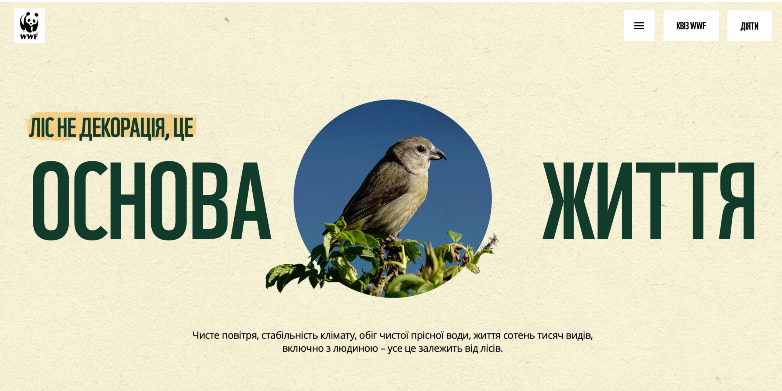 Фото до матеріалу: «Лісова енциклопедія» від WWF: нова платформа для збереження природи України
