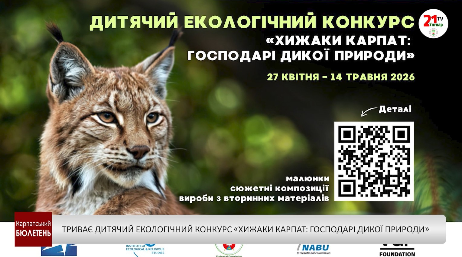 Фото до матеріалу: Діти-художники змаються у конкурсі «Хижаки Карпат: господарі дикої природи»