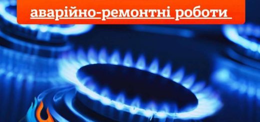 Фото до матеріалу: На Чортківщині 15 жінок отримали звання мати-геройки