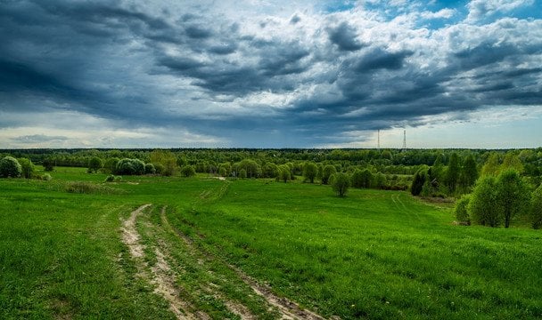 Фото до матеріалу: Церковне свято 14 травня 2026: пам'ять святого Ісидора та народні прикмети