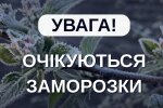 Фото до матеріалу: Ірландія пропонує до 10 000 євро за добровільне повернення українців