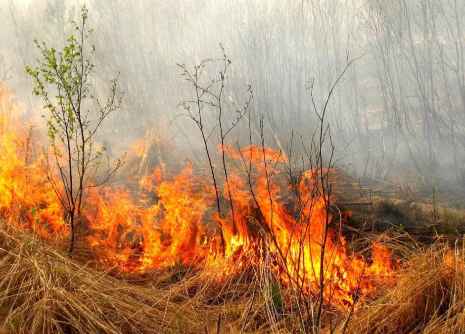 Фото до матеріалу: Загиблі та поранені мирні українці: росія порушила перемир’я, яке сама ж і оголосила