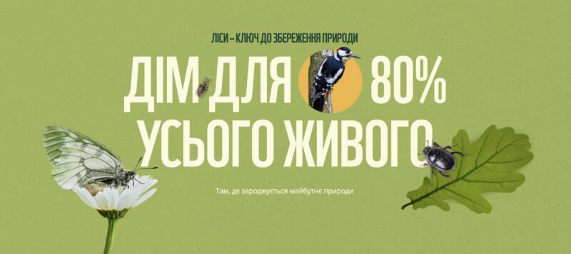 Фото до матеріалу: Ліси Києва: нова інтерактивна платформа від WWF-України