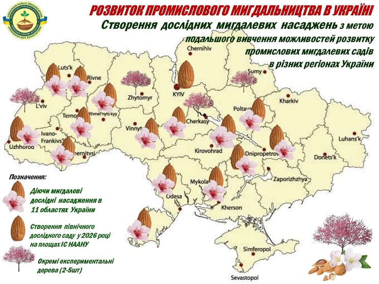 Фото до матеріалу: У Києві заклали найпівнічніший мигдалевий сад України