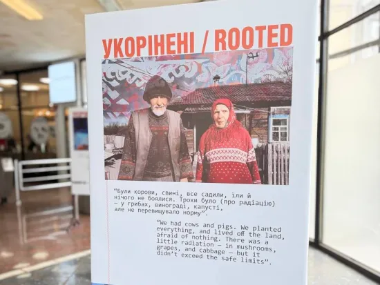Фото до матеріалу: Ремонт доріг в Україні: названо терміни завершення робіт