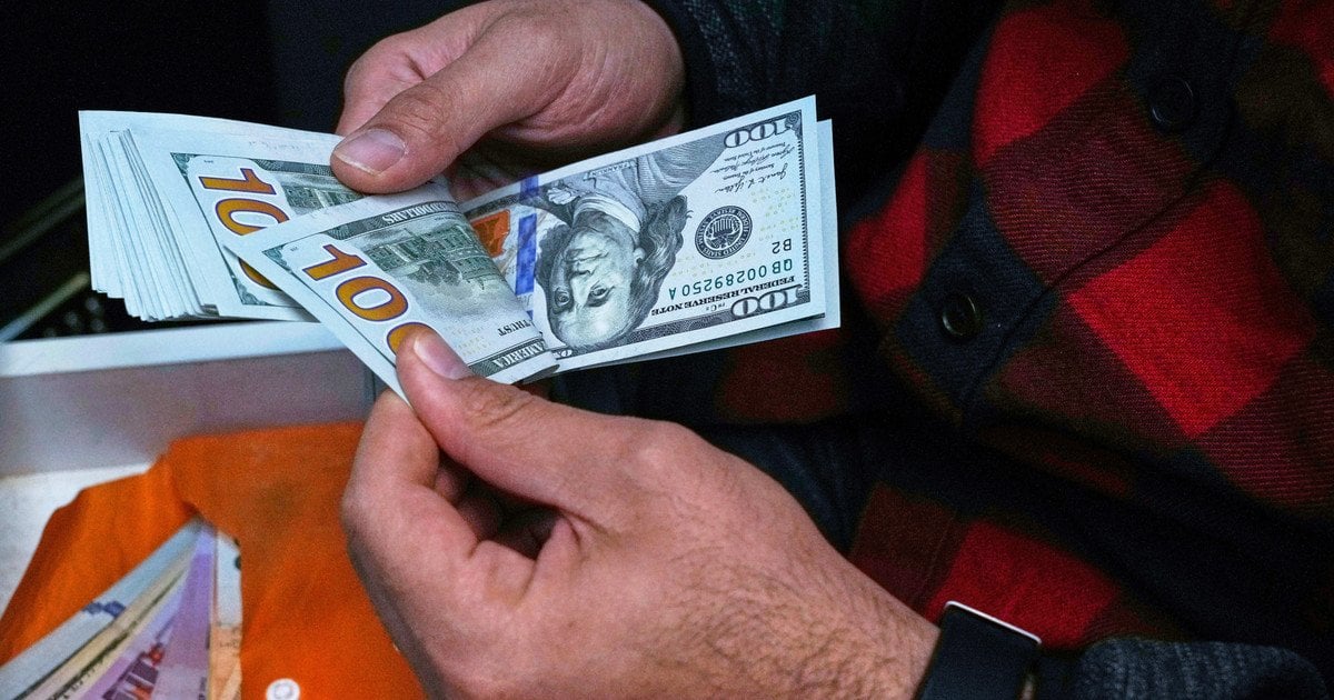 Фото до матеріалу: Власники котів у Володимирі: чому вільний вигул може загрожувати здоров'ю родини