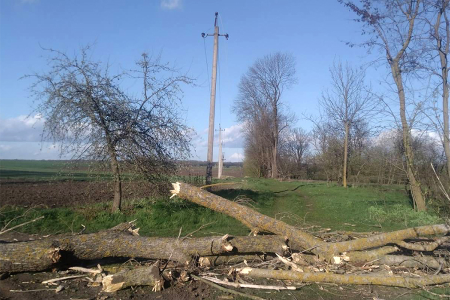 Фото до матеріалу: Шторм на Вінниччині: 64 населені пункти залишаються без світла, енергетики відновлюють подачу