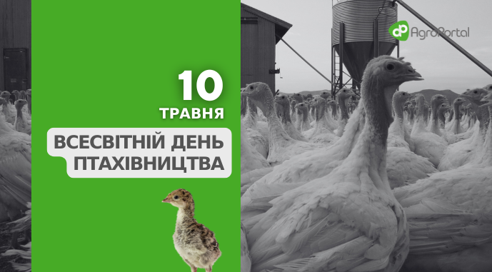 Фото до матеріалу: 10 травня: Міжнародний день матері та інші свята в Україні