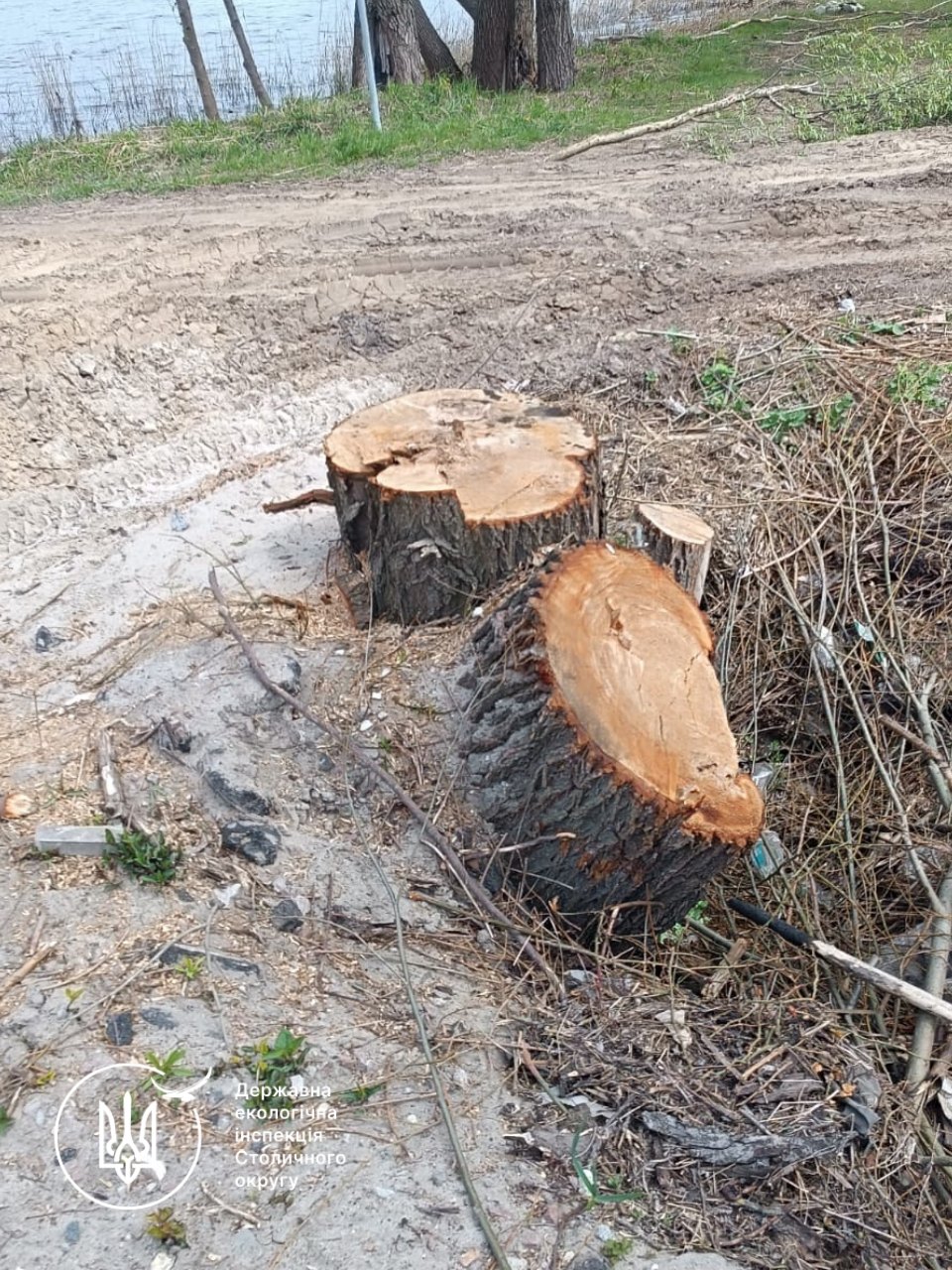 Фото до матеріалу: Екологічний збиток понад 2,6 млн грн: у Києві пошкодили заказник «Озеро Заплавне»