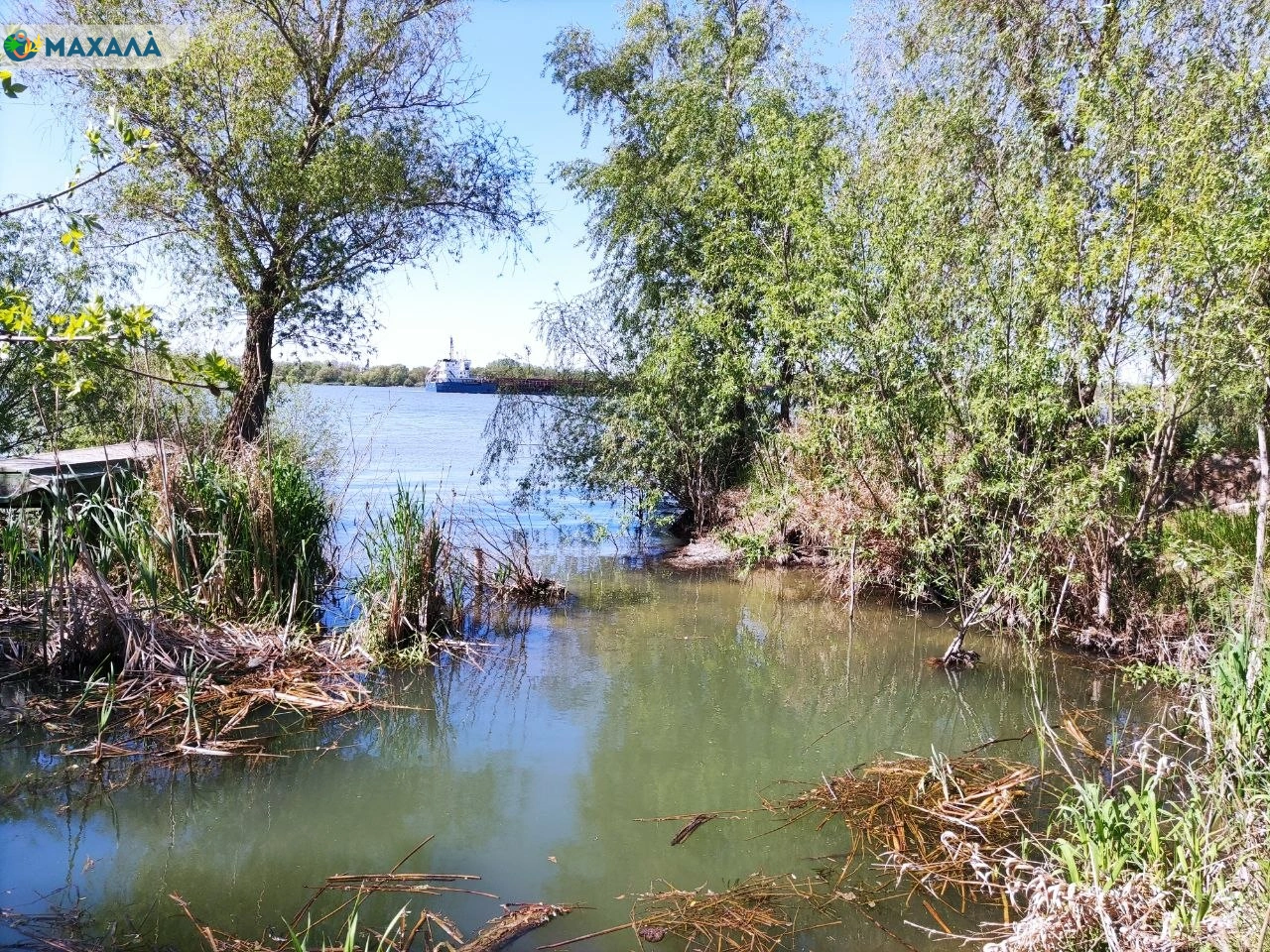 Фото до матеріалу: Аномально низький рівень води на Дунаї: встановлено нові історичні мінімуми