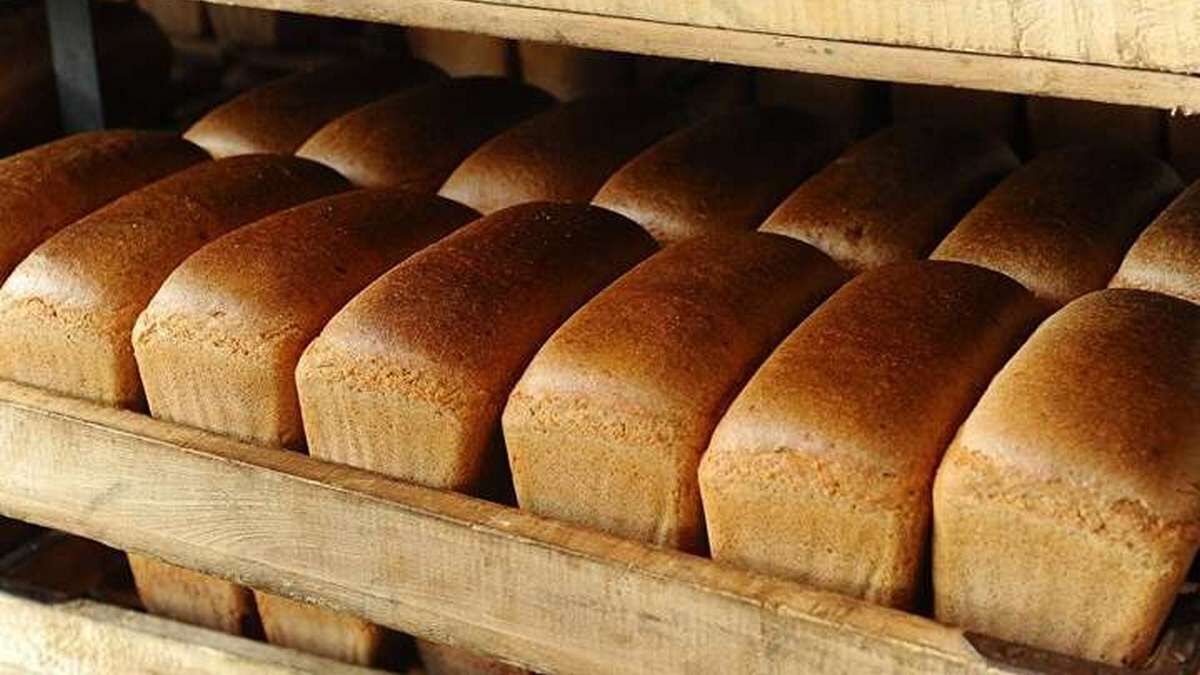 Фото до матеріалу: Ціни на хліб у Україні: що очікувати до кінця 2026 року