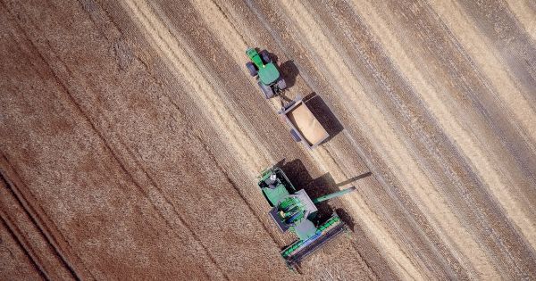 Фото до матеріалу: Відмова ЄС від дотацій для України: фермерам загрожує втрата 150–180 євро на гектар