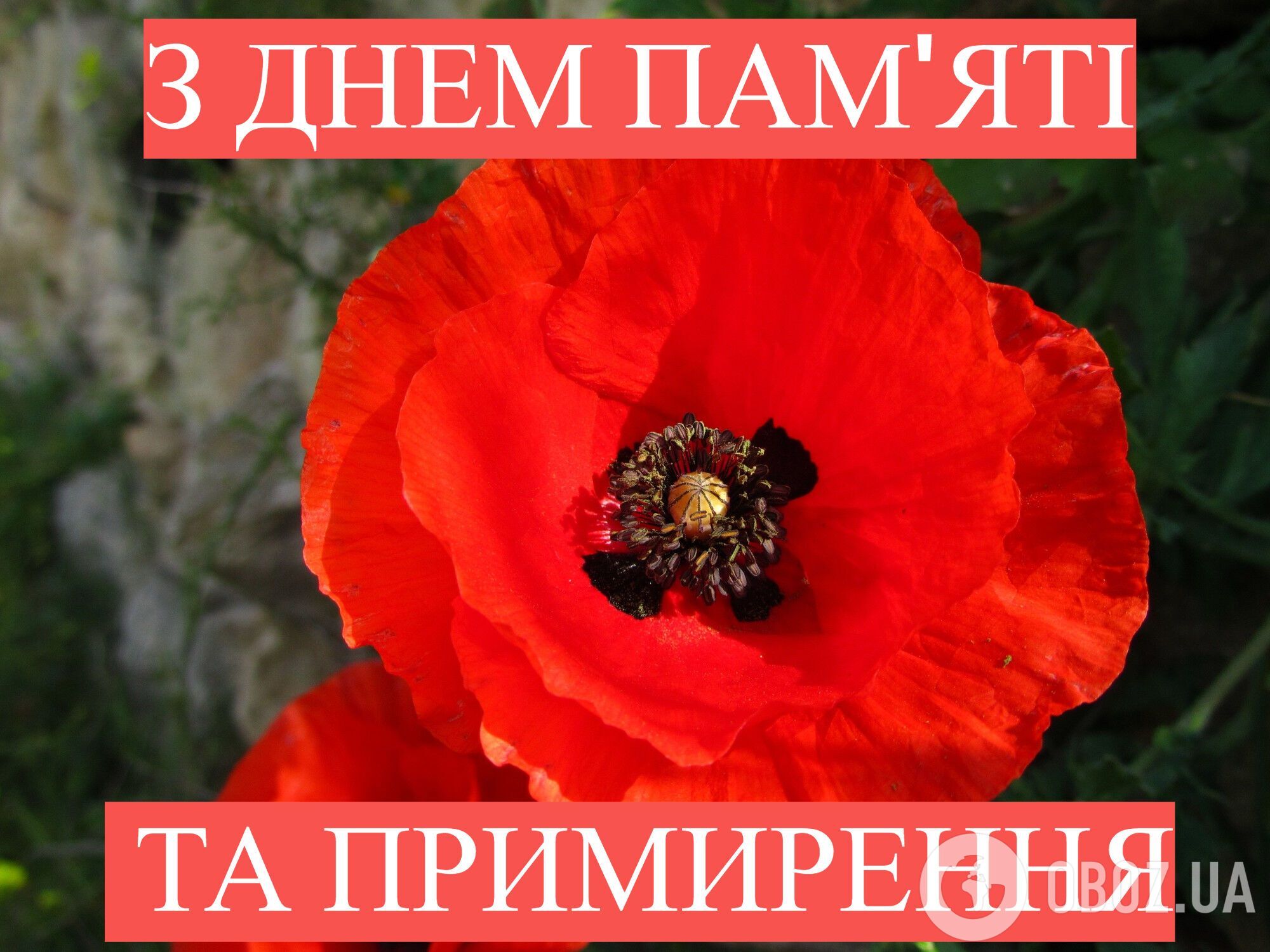 Фото до матеріалу: День пам'яті та перемоги: як українці вшановують героїв та об'єднуються заради миру