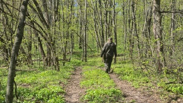 Фото до матеріалу: Наука підтверджує: прогулянки у лісі «Холодного Яру» — найкращий спосіб відновити нерви