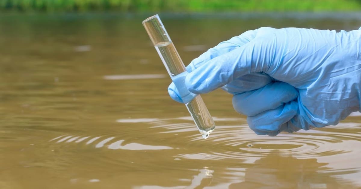 Фото до матеріалу: Заборонили купання у Дністрі та Сереті через якість води