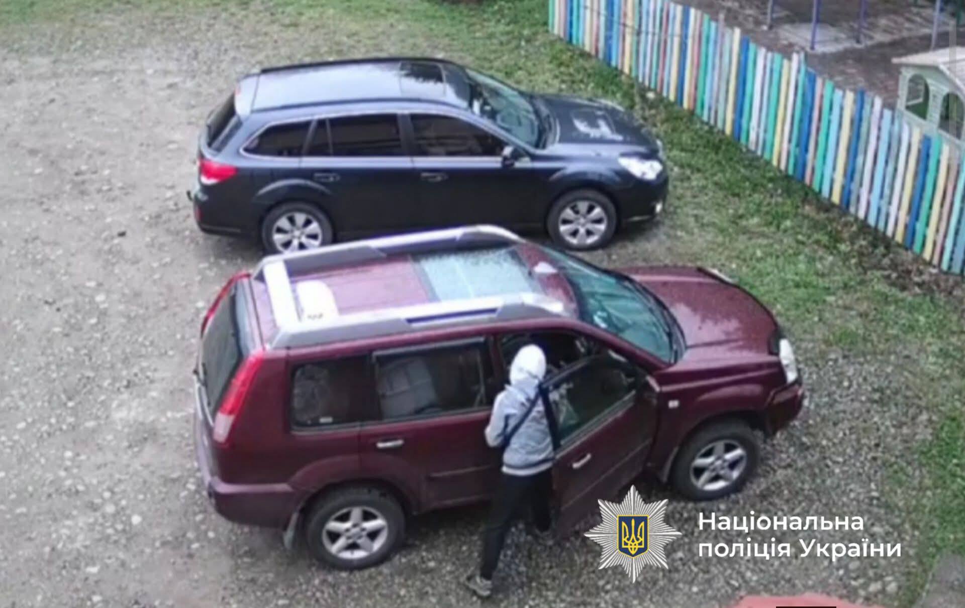 Фото до матеріалу: Як обрати ідеальний кондиціонер для кучерявого волосся: поради експертів