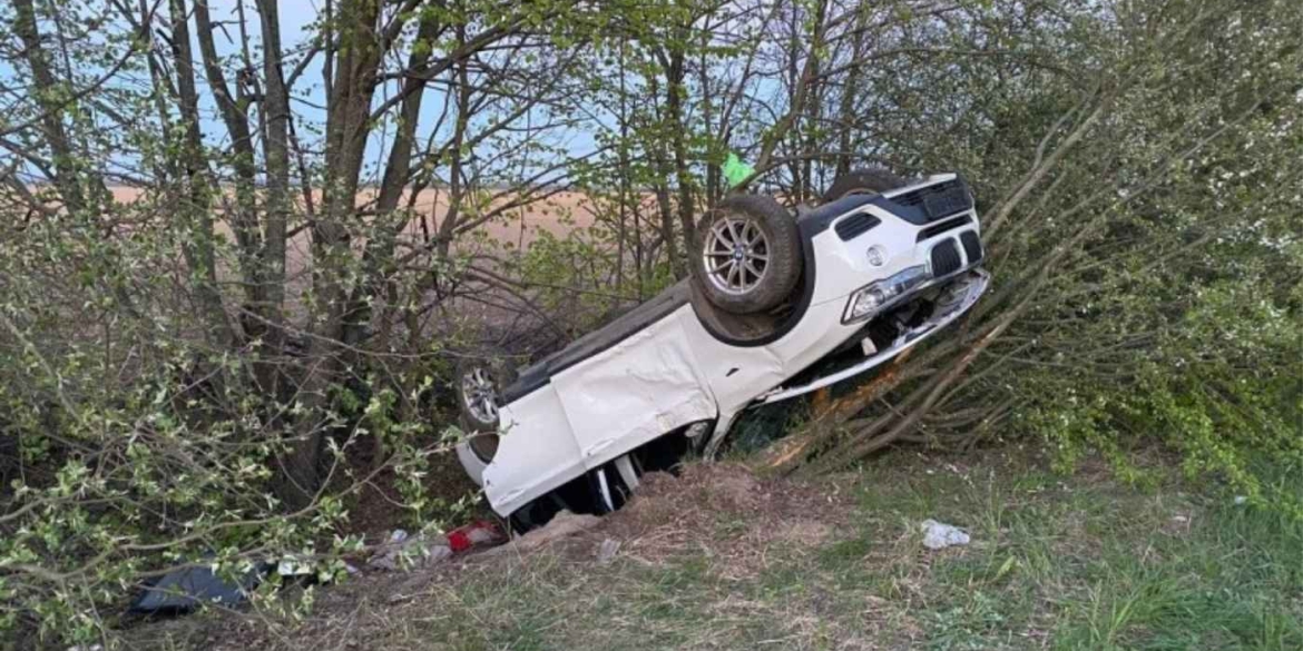 Фото до матеріалу: 15-річний підліток на BMW врізався в дерево у Бірках: четверо друзів у лікарні