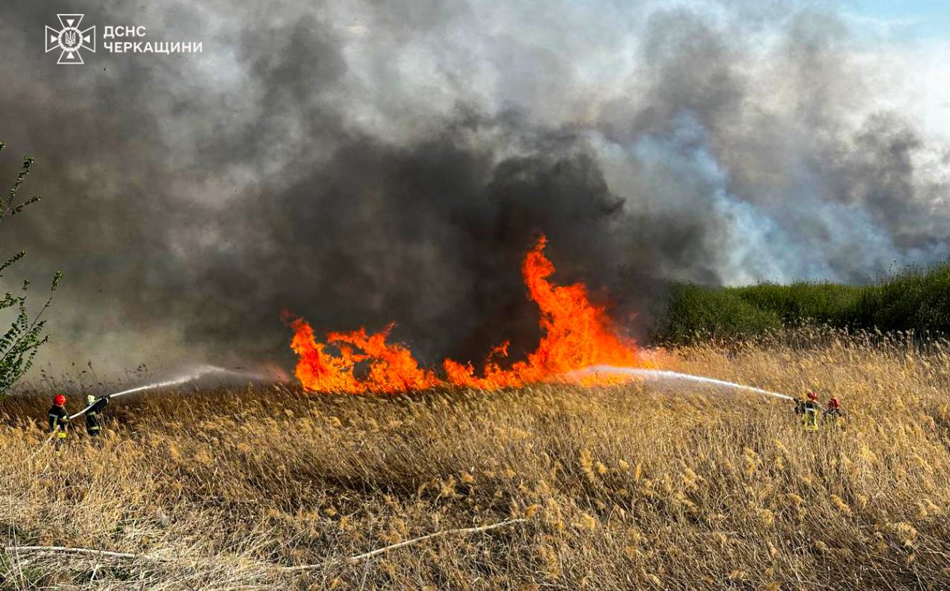 Фото до матеріалу: Водій ВАЗ у стані сп'яніння влаштував аварію біля Благодатного і втік