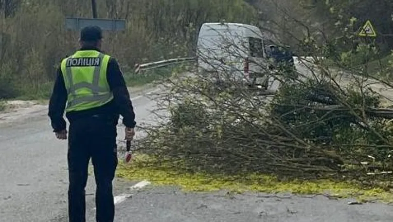 Фото до матеріалу: Водія госпіталізували після того, як дерево впало на його вантажівку у Золочівському районі