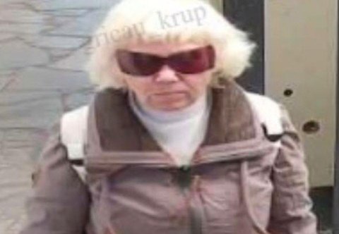 Фото до матеріалу: Пошукають жінку, яка підозрюється у крадіжці в Кривому Різі