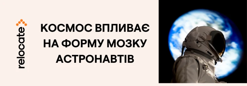 Фото до матеріалу: Яке пиво містить найбільше вітаміну B6: результати дослідження німецьких вчених