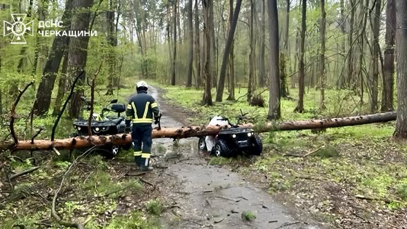 Фото до матеріалу: У Черкасах дерево впало на квадроцикл: жінка загинула на місці