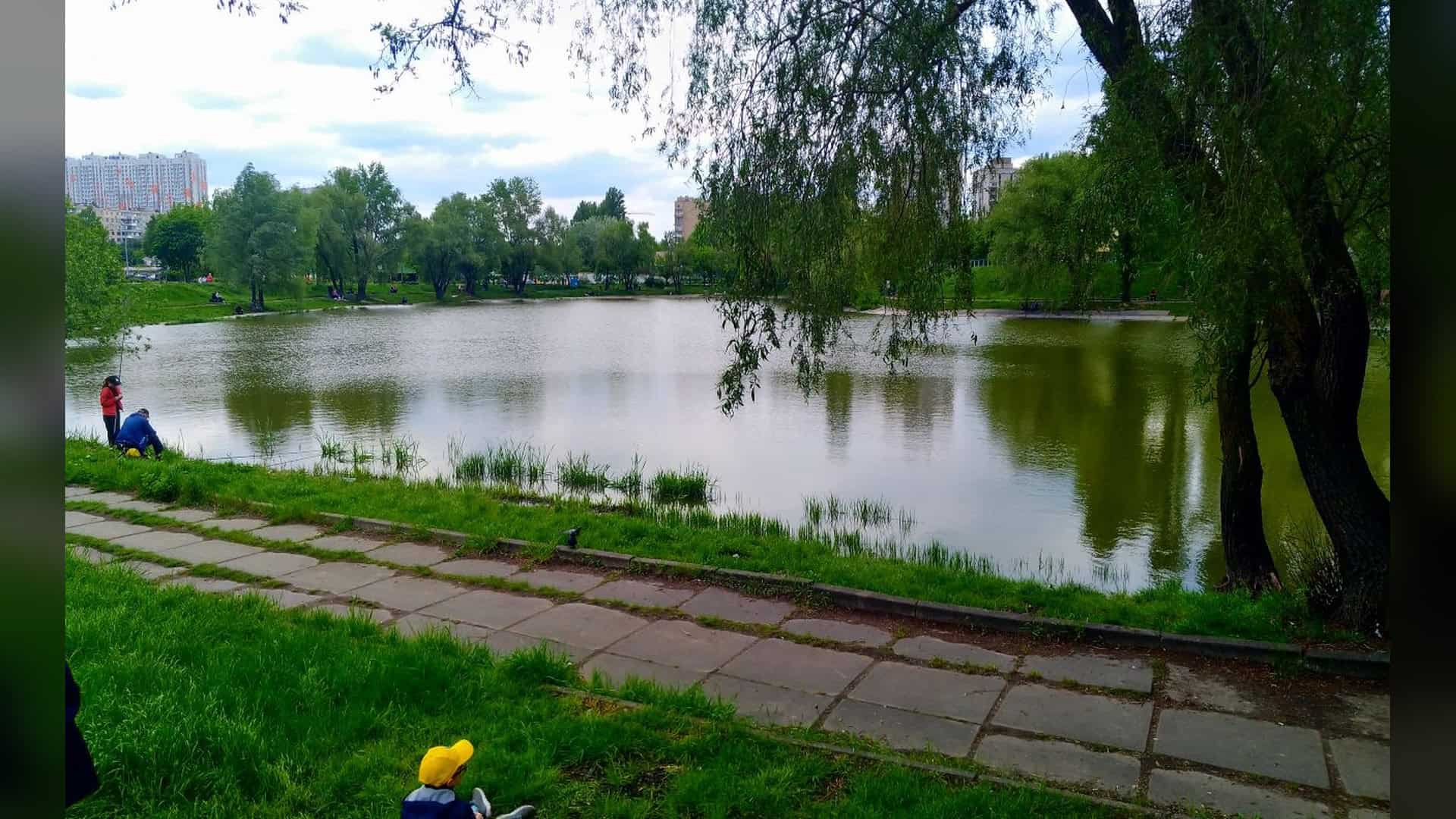 Фото до матеріалу: У Святошинському районі Києва побудують зону активного відпочинку біля ставка на Нивці