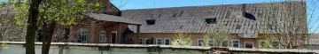 Фото до матеріалу: Чим підживити орхідею у травні: 2 кухонні добрива для тривалого цвітіння