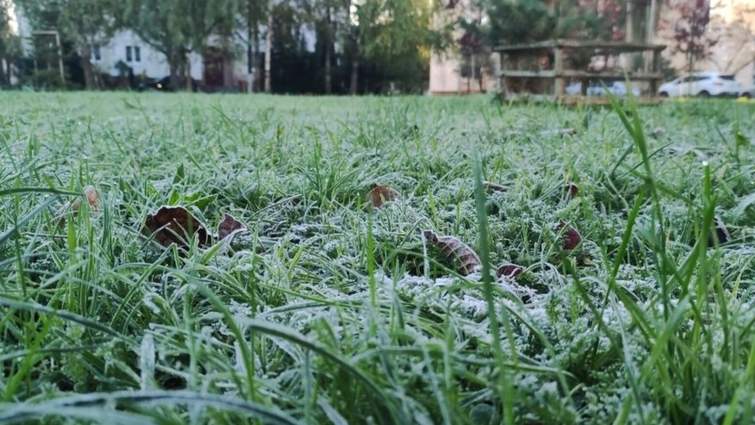 Фото до матеріалу: У Львові зафіксували найхолоднішу ніч 14 травня за 80 років