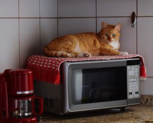 Фото до матеріалу: Почому заборонено включати порожню мікрохвильовку: ризики для здоров'я та обладнання
