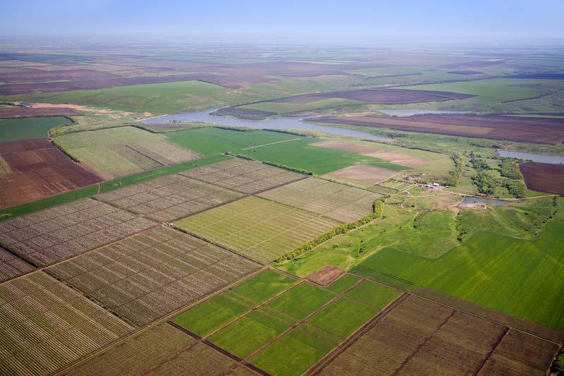 Фото до матеріалу: На Звенигородщині у громадянина рф конфіскували ділянку та анулюють її оренду