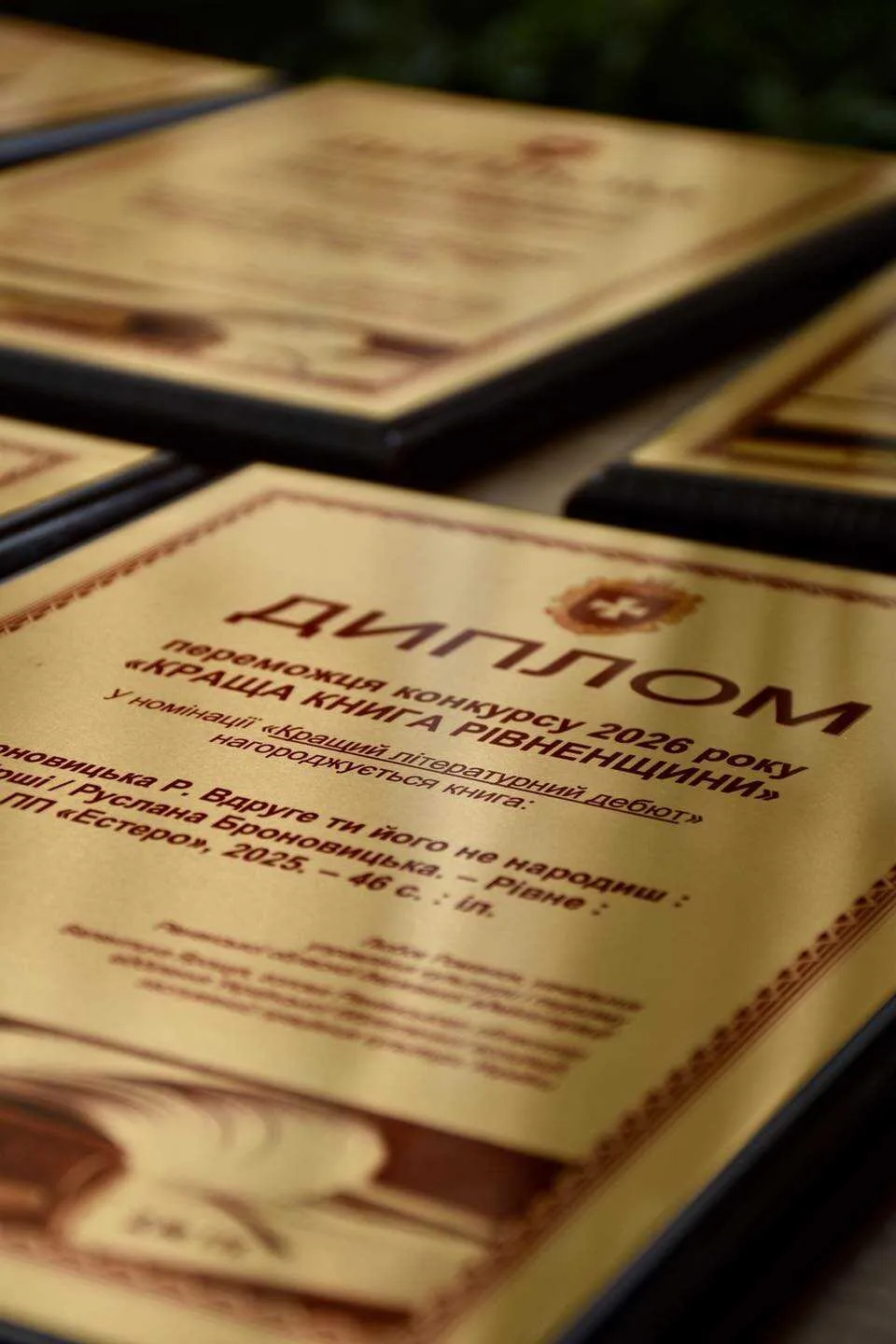 Фото до матеріалу: Названо переможців конкурсу «Краща книга Рівненщини»: хто здобув головні літературні нагороди